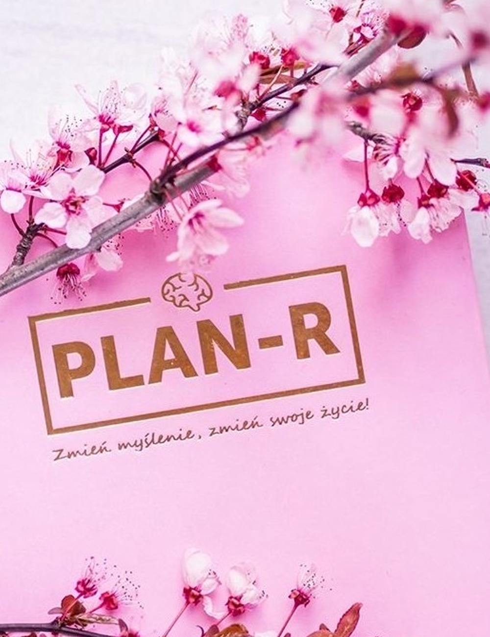 Planner motywacyjny PLAN-R - Gymhero